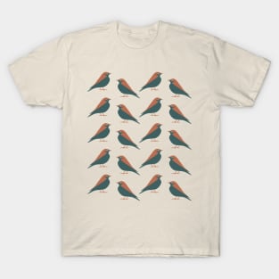 Mountain Bluebird (Spirit) T-Shirt